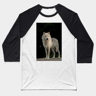 Arctic Wolf Baseball T-Shirt